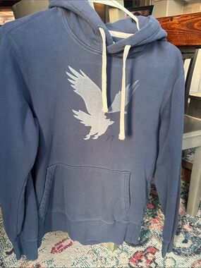 American Eagle Outfitters Blue Pullover Hoodie with Light Eagle Graphic